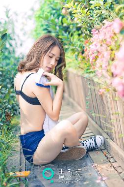 电视剧免费观看